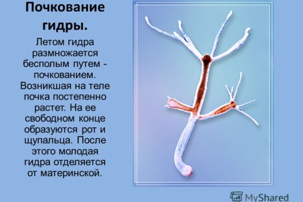 Кракен сайт официальный зеркало