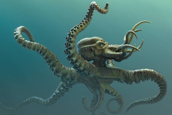 Kraken platform