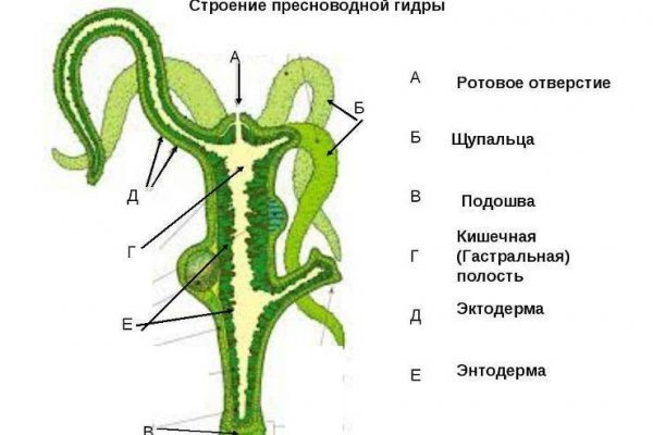 Кракен русский